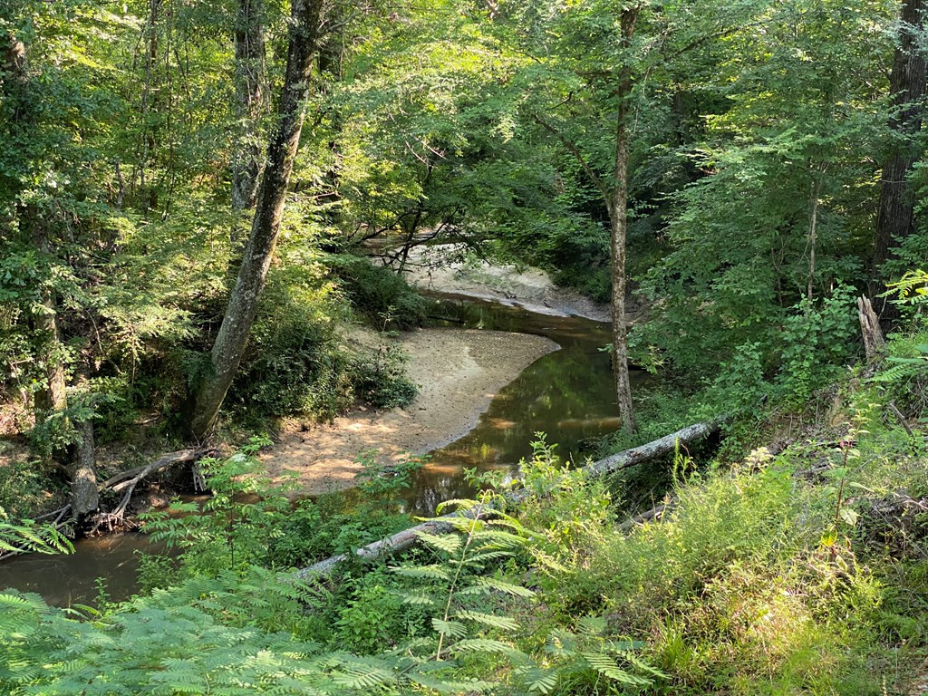 6088 Sylvarena Road Wesson, MS 39191 - Photo 7 of 33 Creek