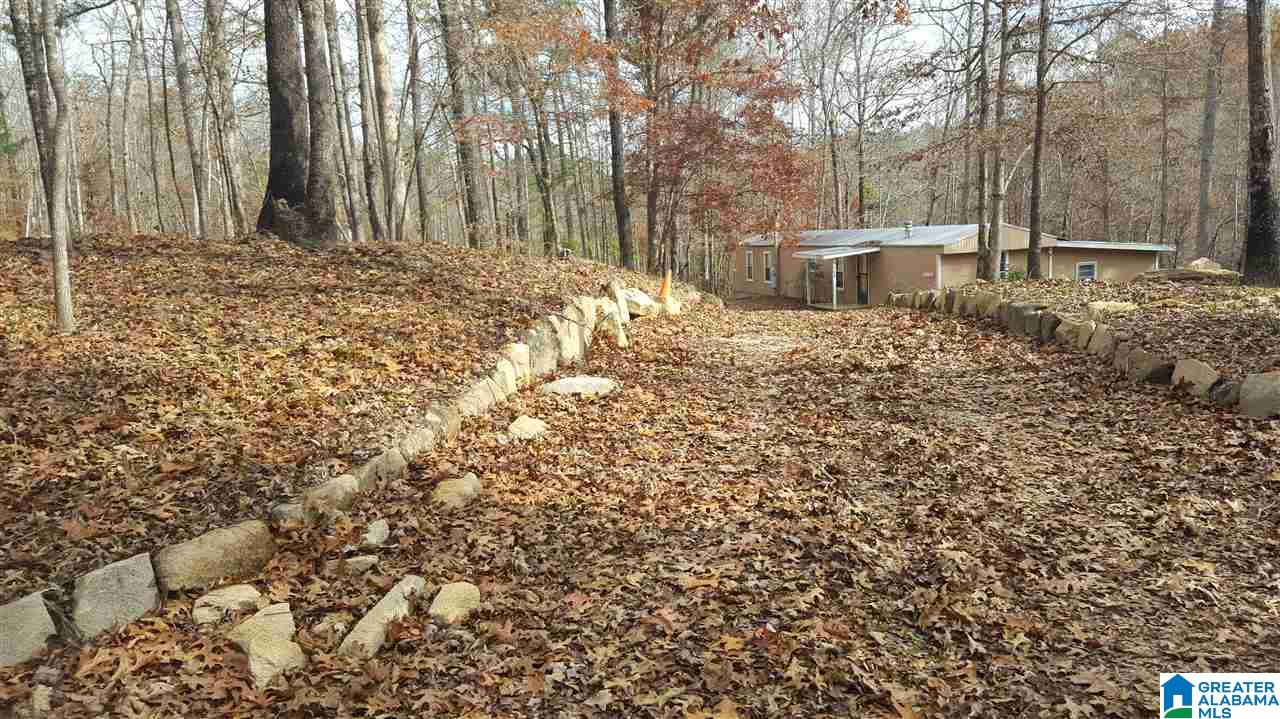 5588 Blakes Ferry Road Lineville, AL 36266 - Photo 22 of 23