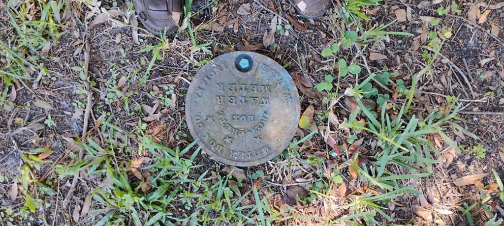 15 65th Street Yankeetown, FL 34498 - Photo 4 of 6 a view of statue in a garden