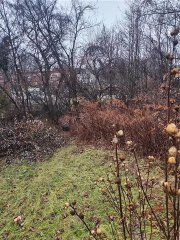 a view of a yard with a tree