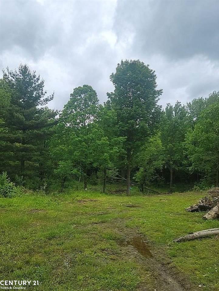0 Meskill Road Richmond, MI 48062 - Photo 12 of 14