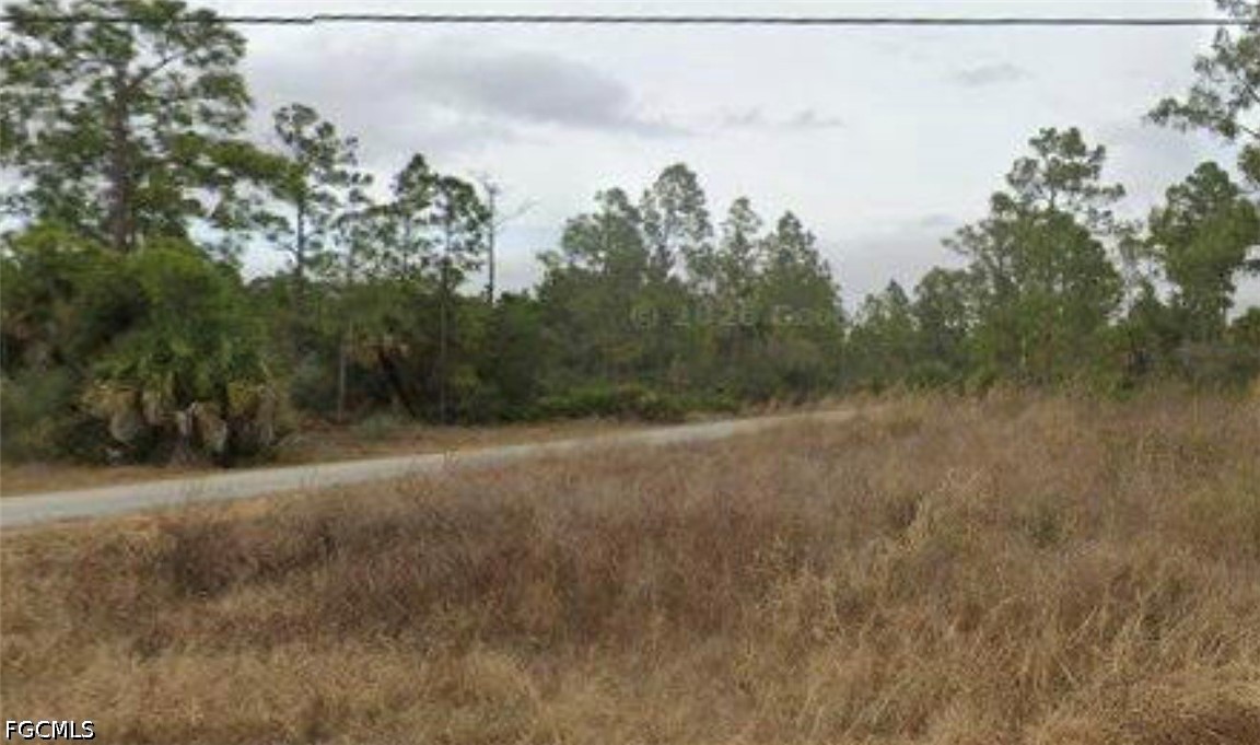 4101 East 23rd Street Alva, FL 33920 - Photo 1 of 1 a view of a field with trees in the background