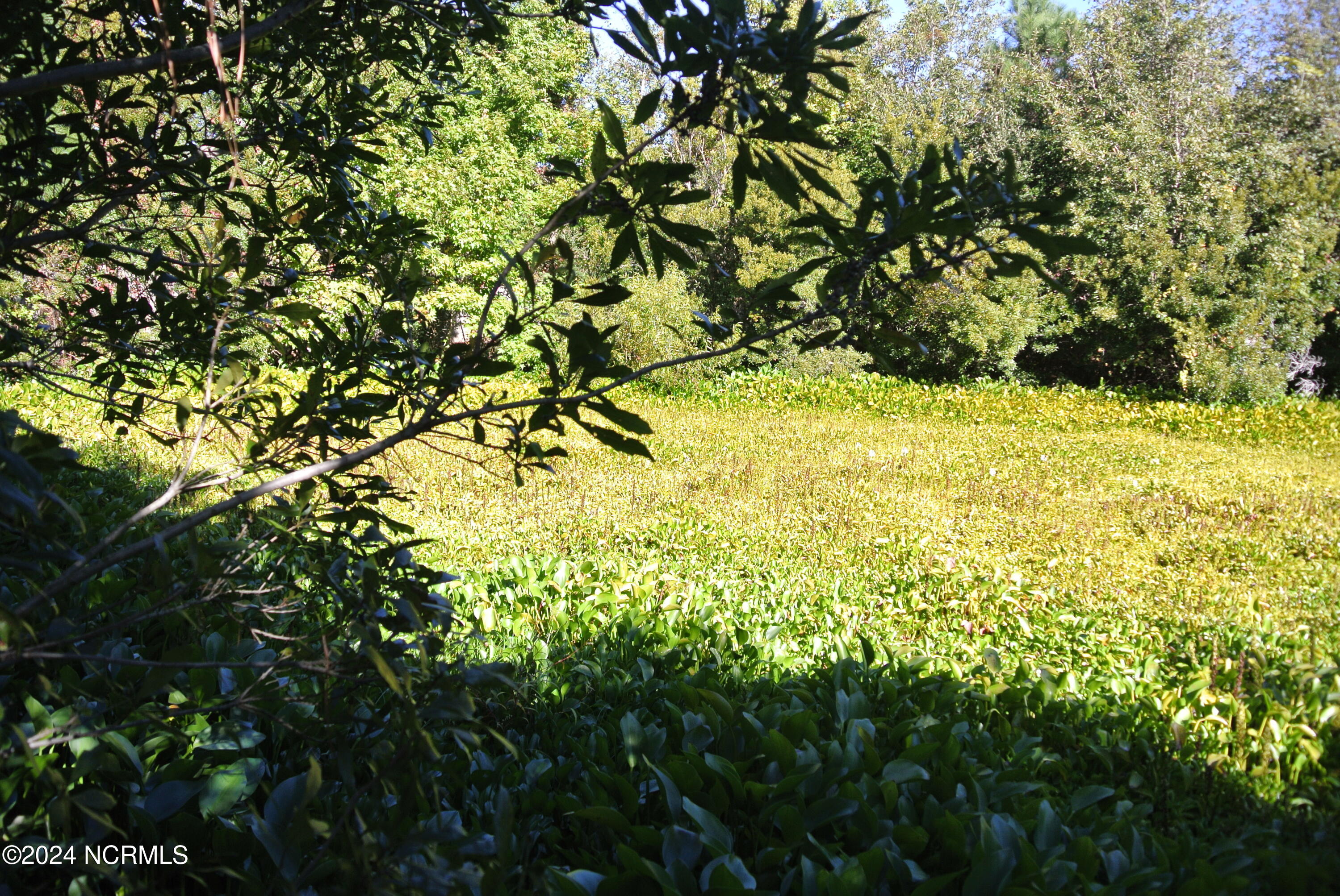 137 Piver Road Beaufort, NC 28516 - Photo 10 of 19 DSC_7464
