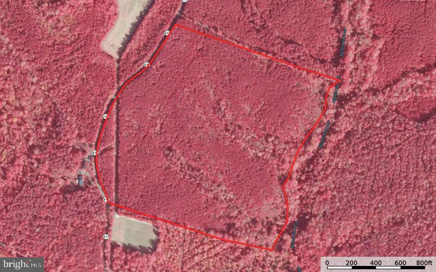 Carltons Corner Road King and Queen Court House, VA 23085 - Photo 4 of 5