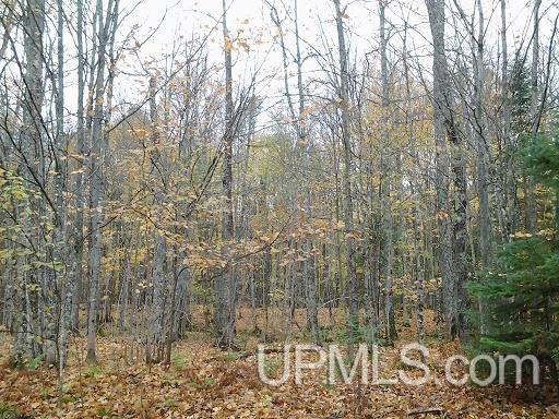 Tbd Whitefish Road Chatham, MI 49816 - Photo 11 of 30