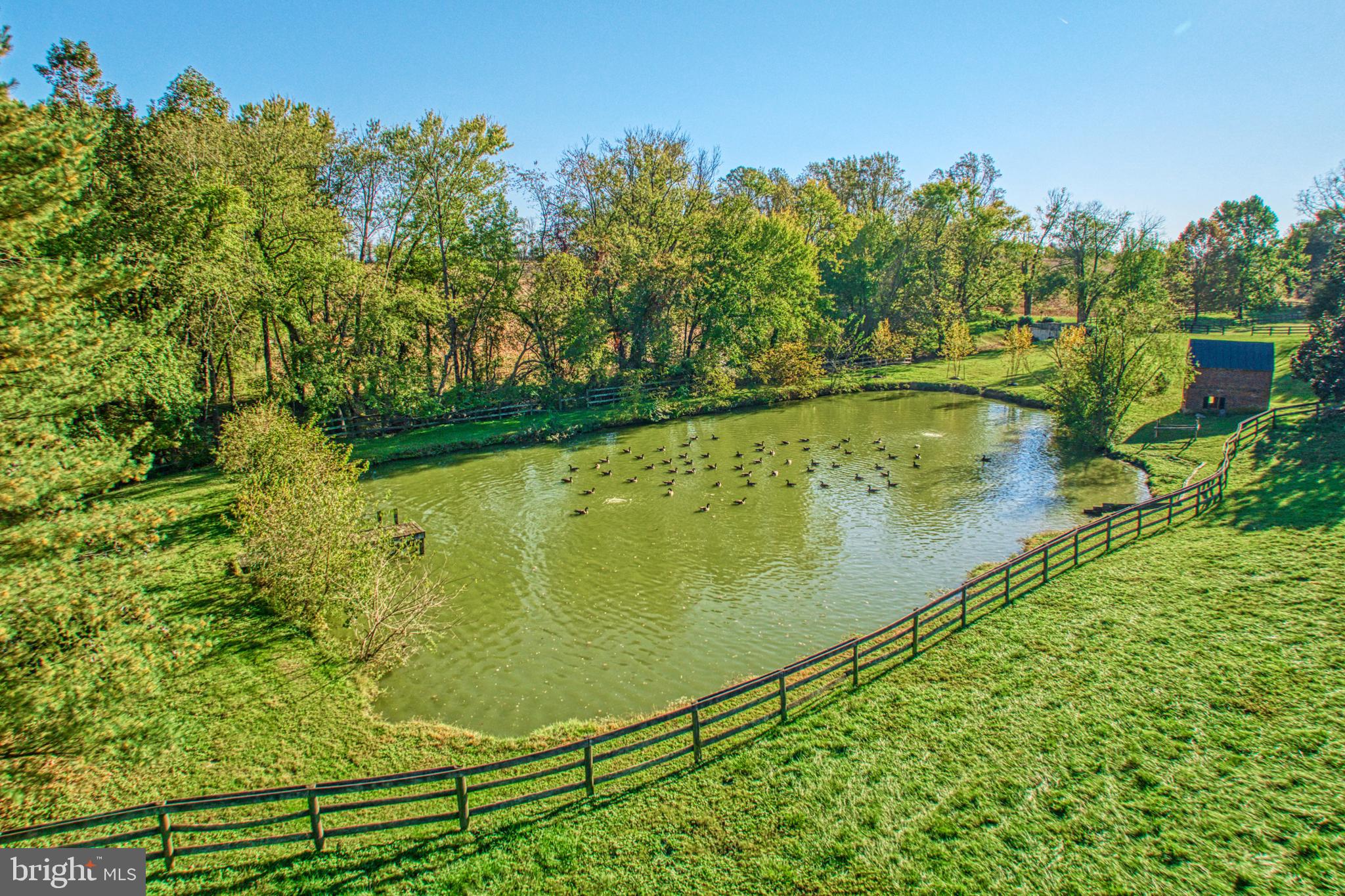 38678 Piggott Bottom Road Hamilton, VA 20158 - Photo 91 of 103