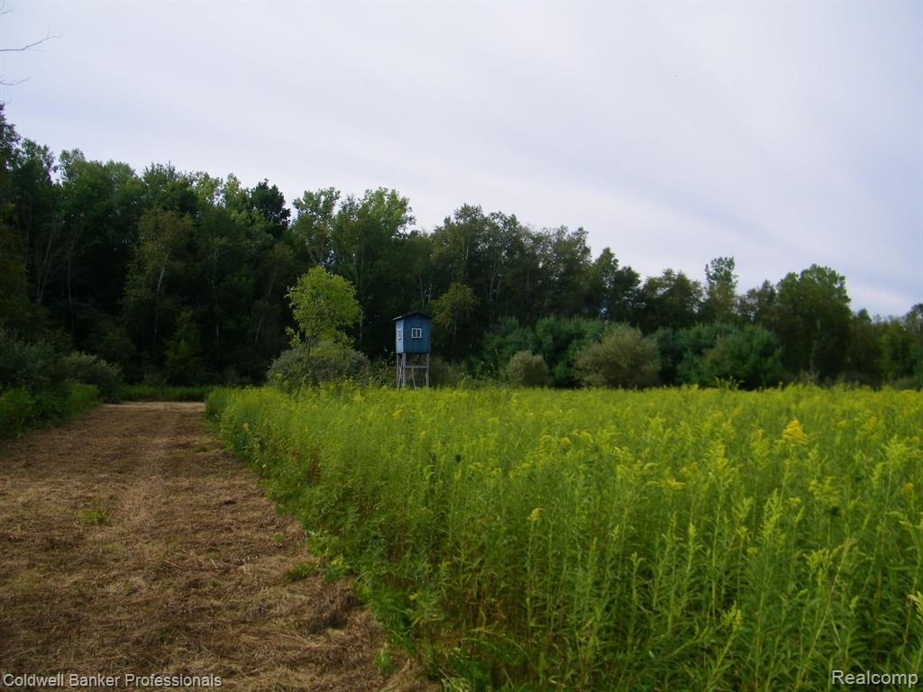 Vacant East Bevens Road Caro, MI 48723 - Photo 3 of 12