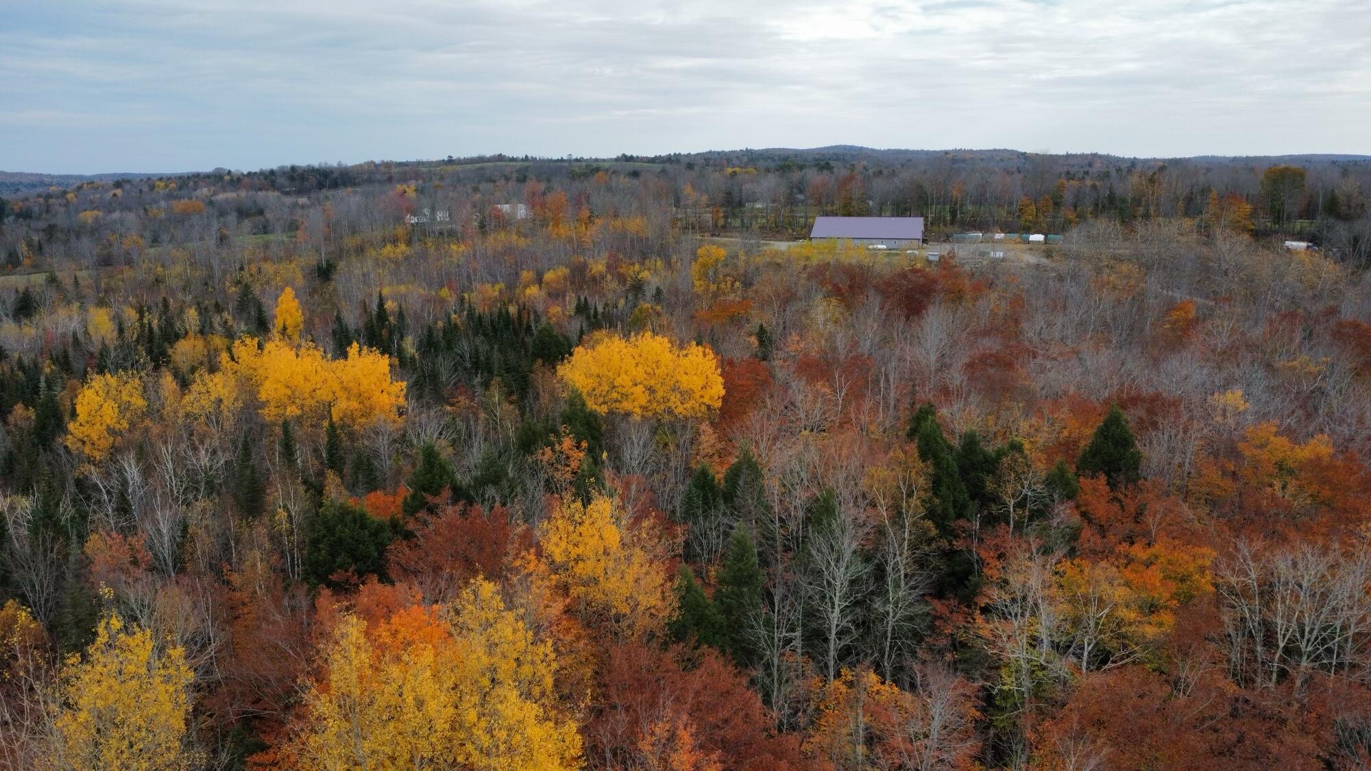 Lot 6 Hamm Road Thorndike, ME 04986 - Photo 9 of 15 32AE5B22-F534-4B5F-A14B-1F91BED9840C