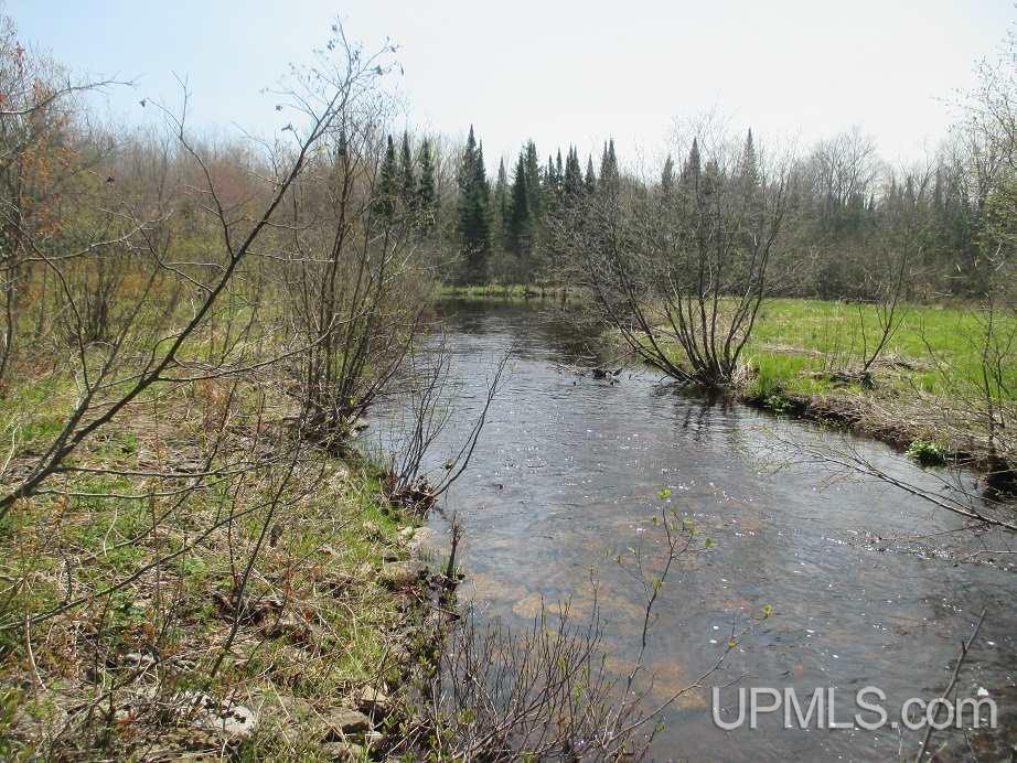 Tbd Johnson Creek Road Chatham, MI 49816 - Photo 1 of 28 Gallery Image 1