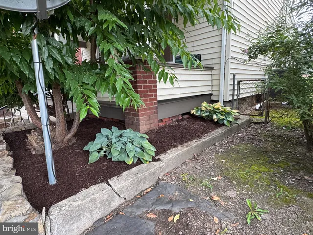 a view of a pathway with a yard