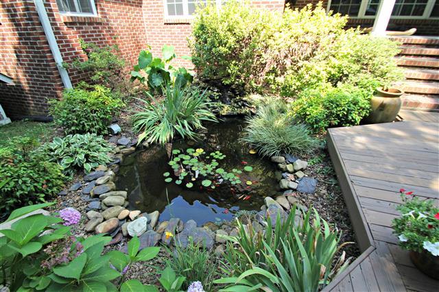 87 Oak Hollow Road Manchester, TN 37355 - Photo 15 of 18 Goldfish pond with waterfall is adjacent to the deck.