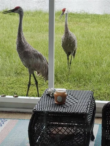 a view of a lake from a balcony