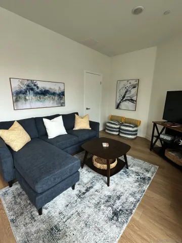 a living room with furniture and a rug