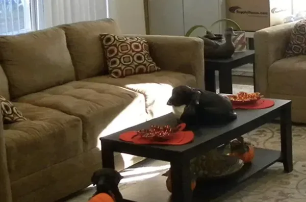 a living room with furniture and two chairs