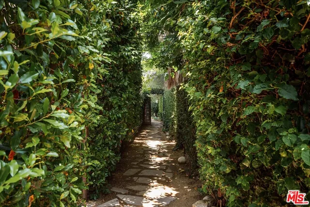 a view of path in between the bunch of trees