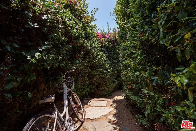 a pathway of a house with flower plants