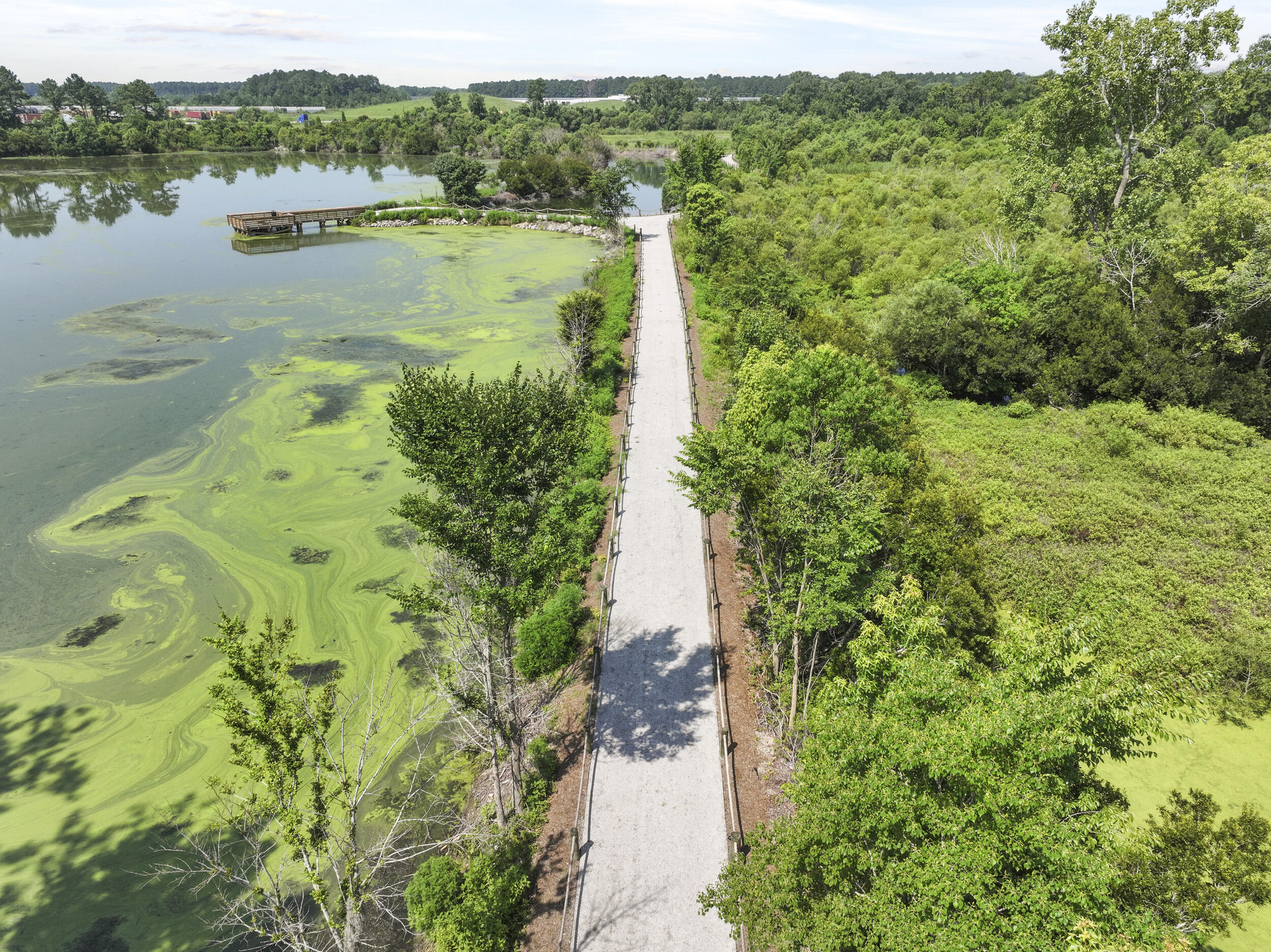 447 Tulip Poplar Drive Moncks Corner, SC 29461 - Photo 31 of 34 22_dji_20250625105736_0151_d