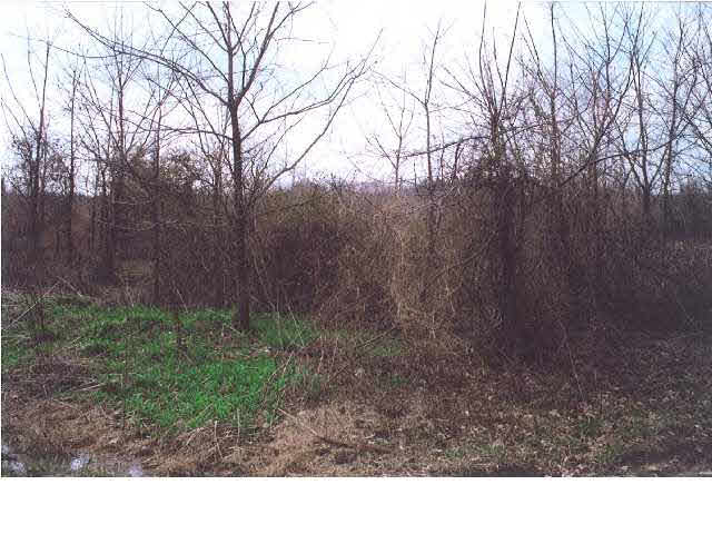 0 Taylorville Road Tennyson, IN 47537 - Photo 2 of 2