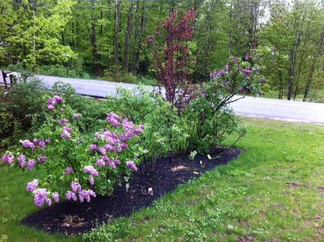 112 Chute Road Windham, ME 04062 - Photo 32 of 35 Yard/Garden. Dreaming of Spring...