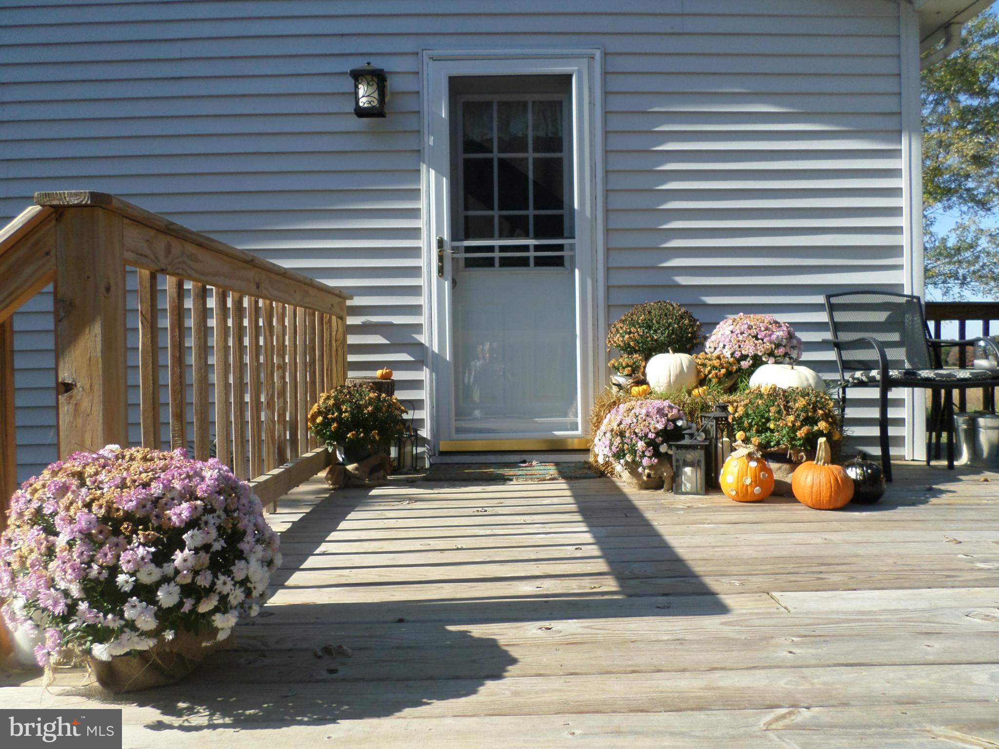 114 Iris Road Chestertown, MD 21620 - Photo 25 of 25 Exterior (General)