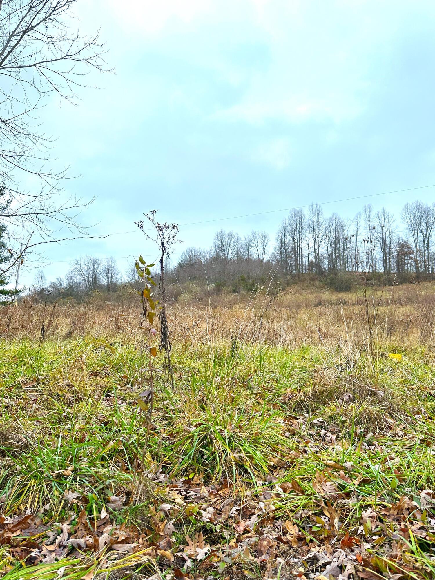 0 Murphy Road McArthur, OH 45651 - Photo 5 of 8 4. Murphy.jpg