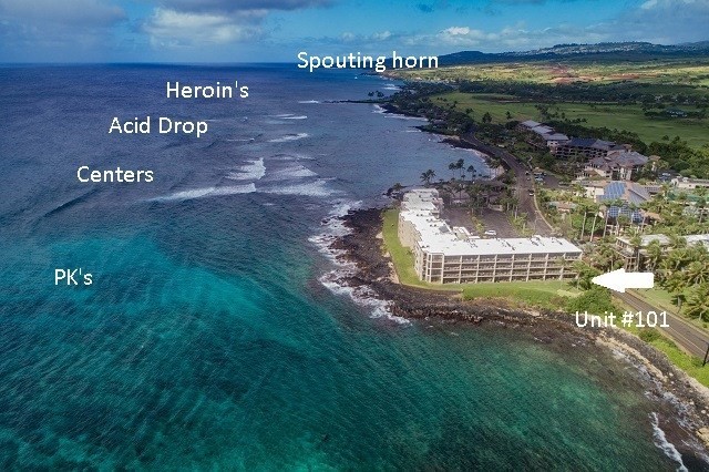 5050 Lawai Road, Unit 101 Koloa, HI 96756 - Photo 4 of 24 a view of a house with a yard