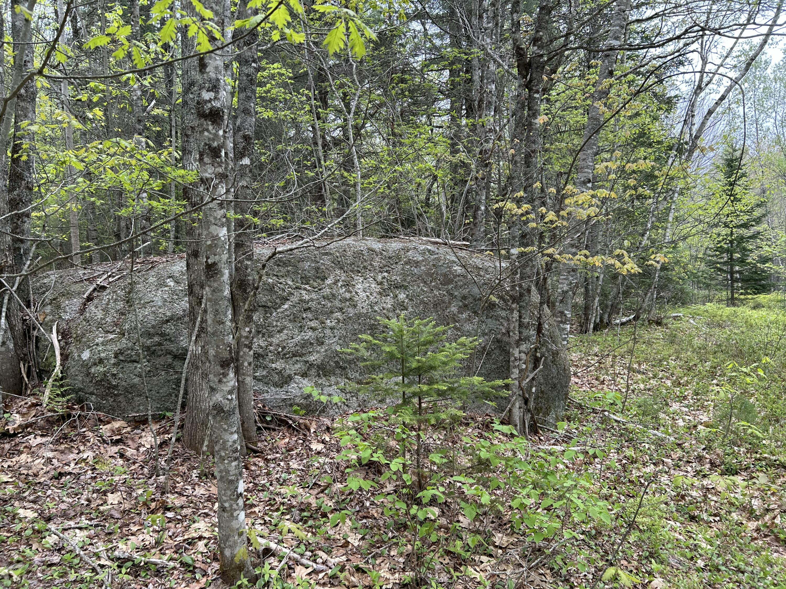 M1-l15 Eastbrook Road Eastbrook, ME 04634 - Photo 26 of 31 IMG_8573