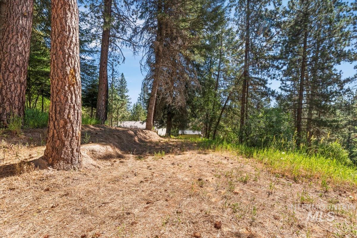 10 Elk Point Road Garden Valley, ID 83622 - Photo 40 of 42 View of local wilderness