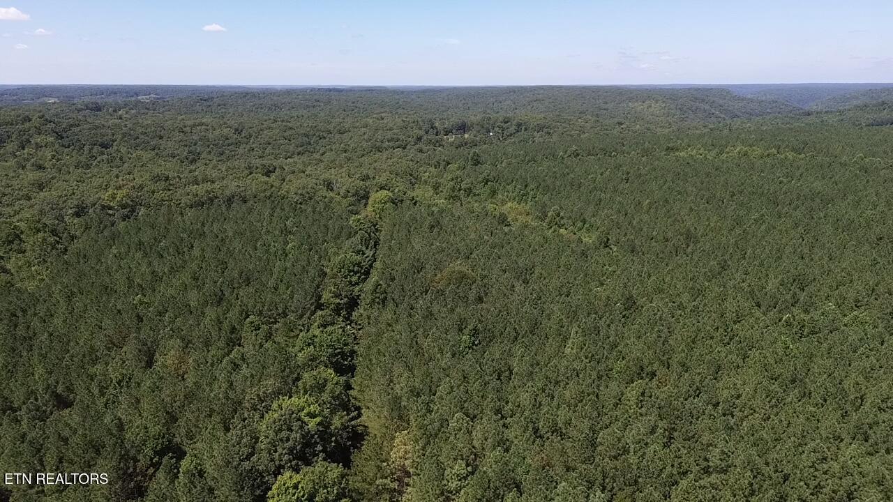 East Ridge Road Allardt, TN 38504 - Photo 5 of 12 2026-08-25-12-25-16-702