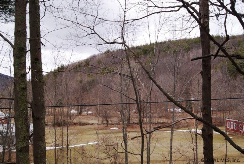 1603 Canady Hill Road Middleburgh, NY 12122 - Photo 6 of 10 Photo 6