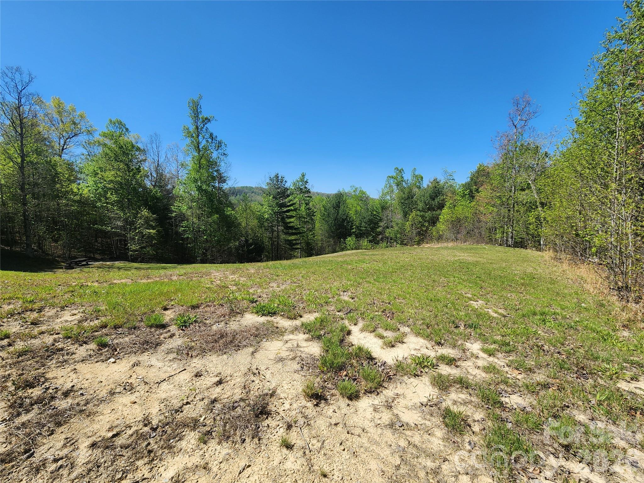 889 Firefly Trail Marshall, NC 28753 - Photo 28 of 35 a view of a field with trees in the background