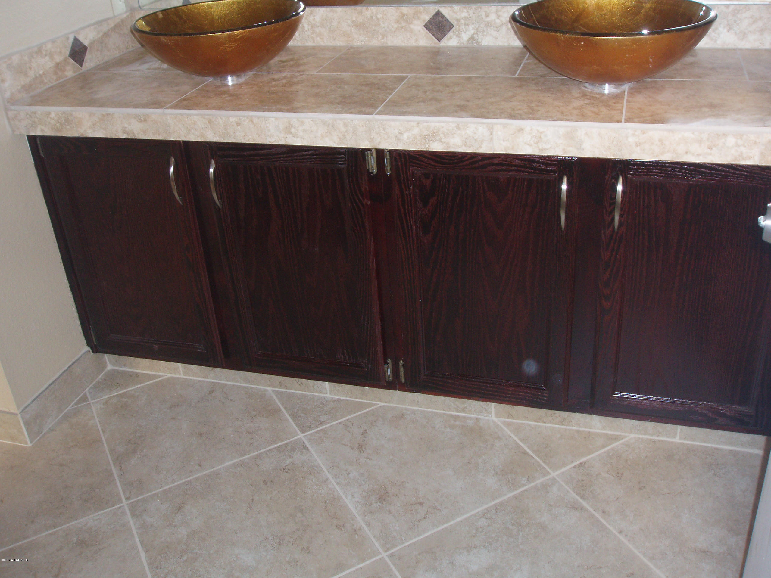 5248 West Bobwhite Way Tucson, AZ 85742 - Photo 10 of 23