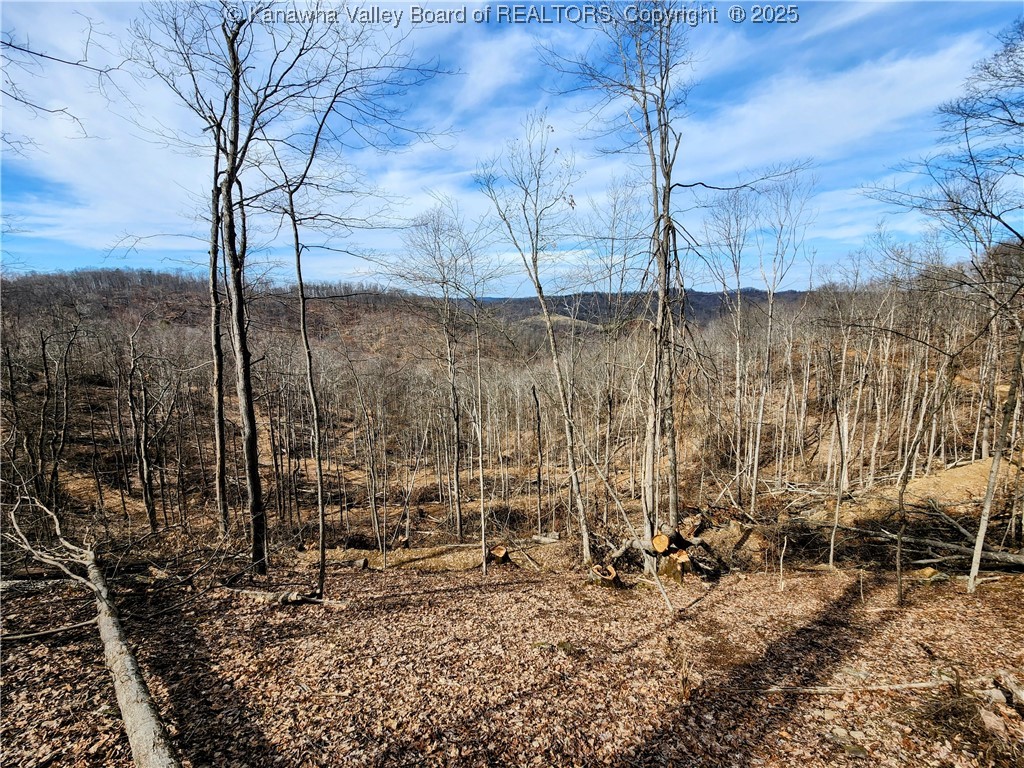 0 Indian Creek Road Elkview, WV 25071 - Photo 10 of 18 Gallery Image 10