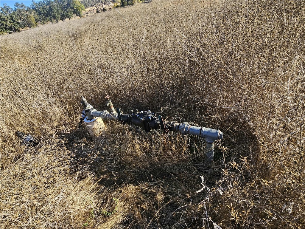 17680 Morgan Valley Road Lower Lake, CA 95457 - Photo 12 of 29 a view of a forest with trees