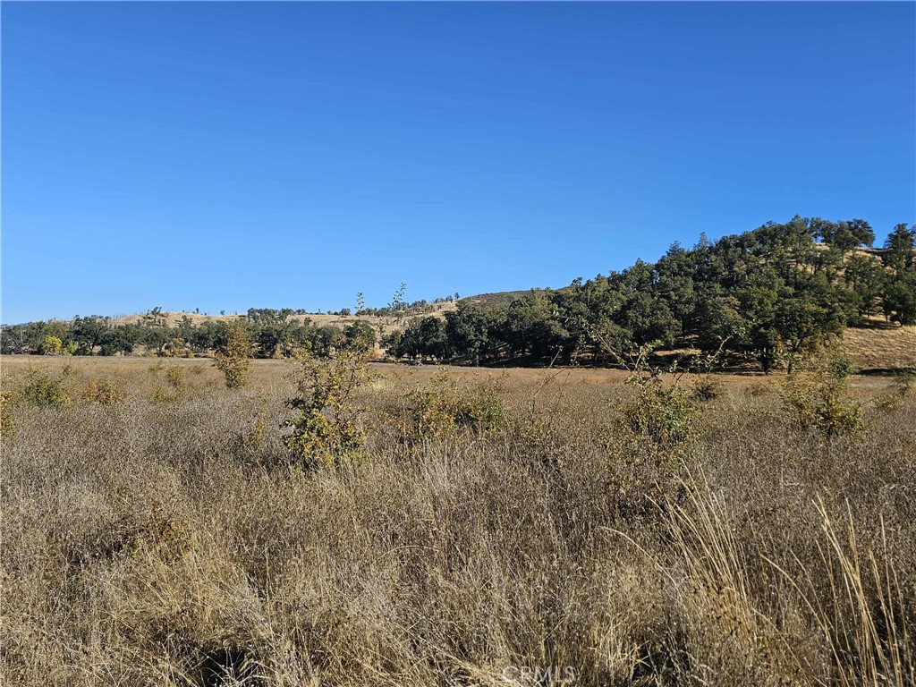 17680 Morgan Valley Road Lower Lake, CA 95457 - Photo 17 of 29