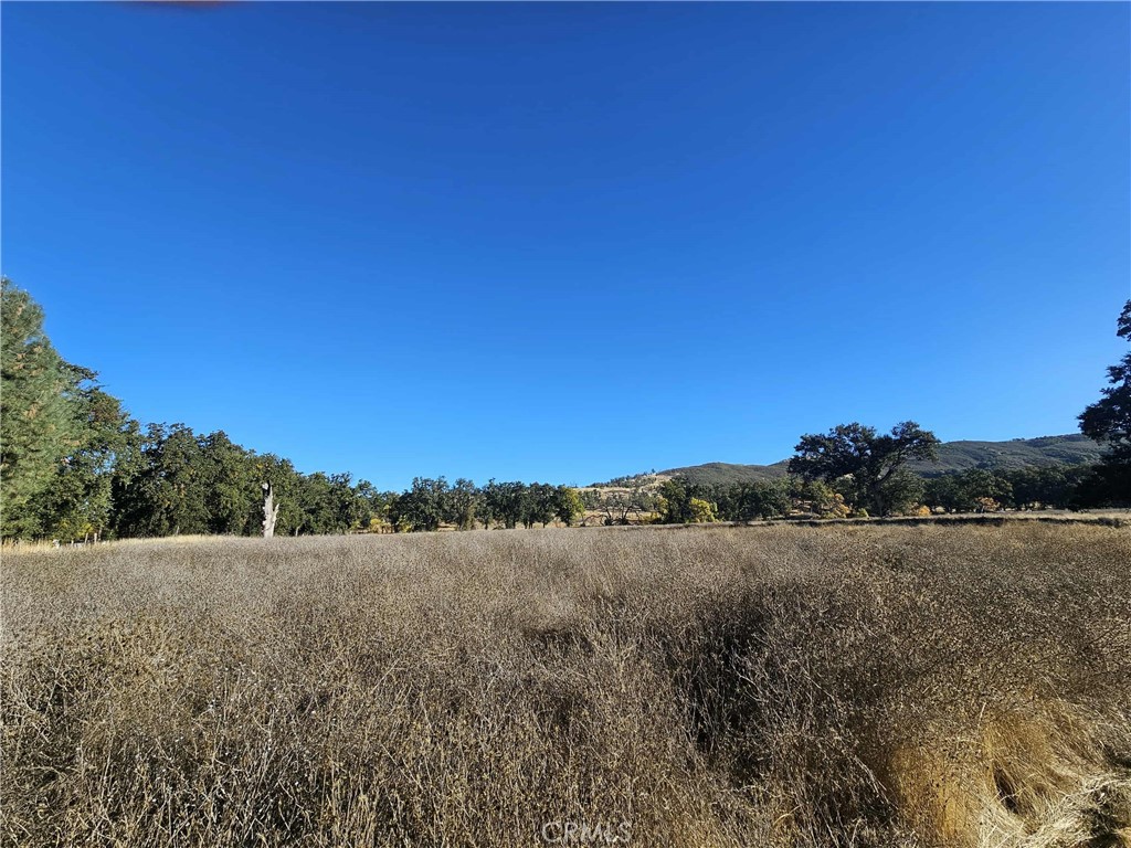 17680 Morgan Valley Road Lower Lake, CA 95457 - Photo 21 of 29 a view of mountain with lake view