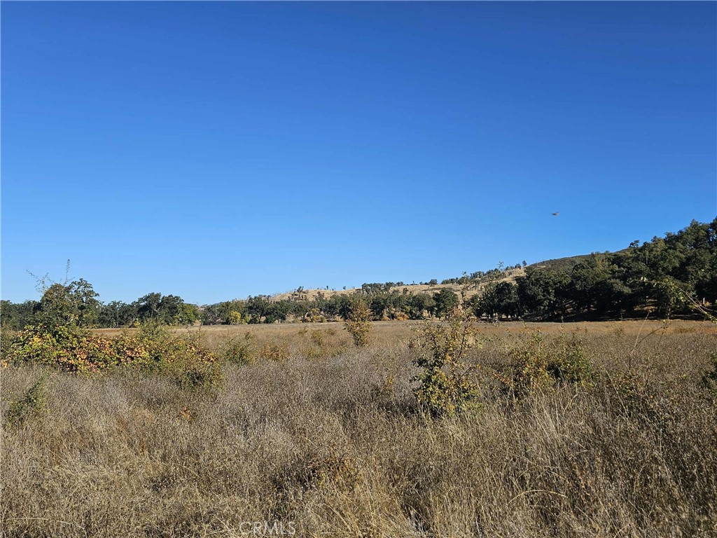 17680 Morgan Valley Road Lower Lake, CA 95457 - Photo 22 of 29 a view of mountain and grassy field