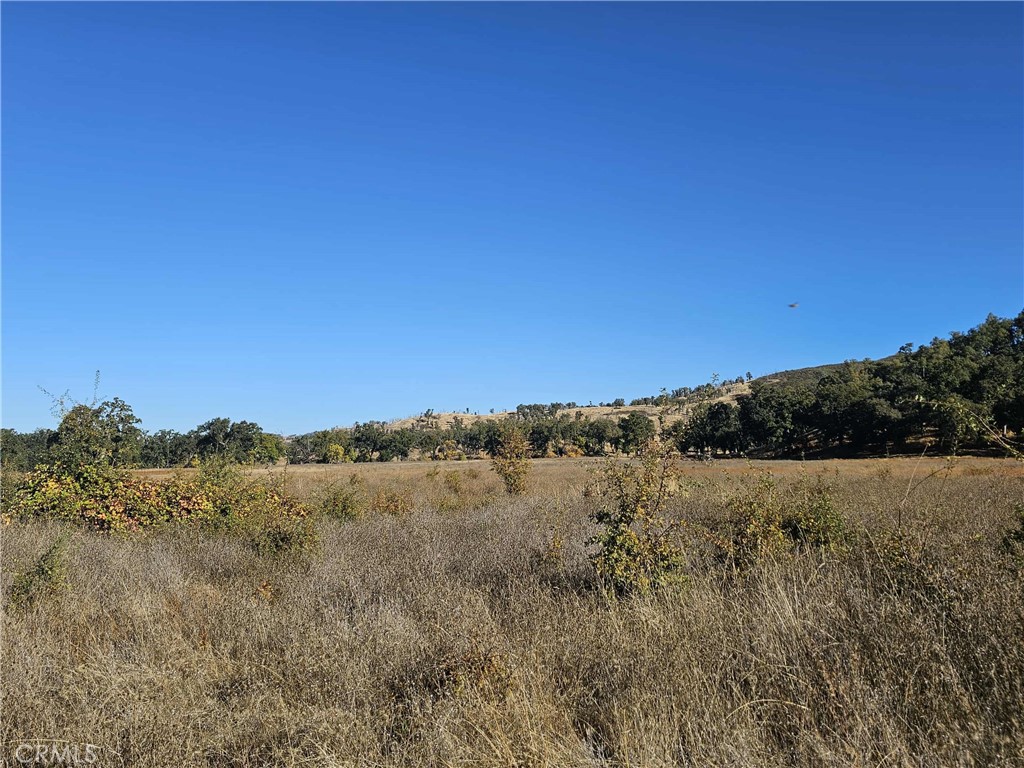 17680 Morgan Valley Road Lower Lake, CA 95457 - Photo 23 of 29 a view of mountain and grassy field