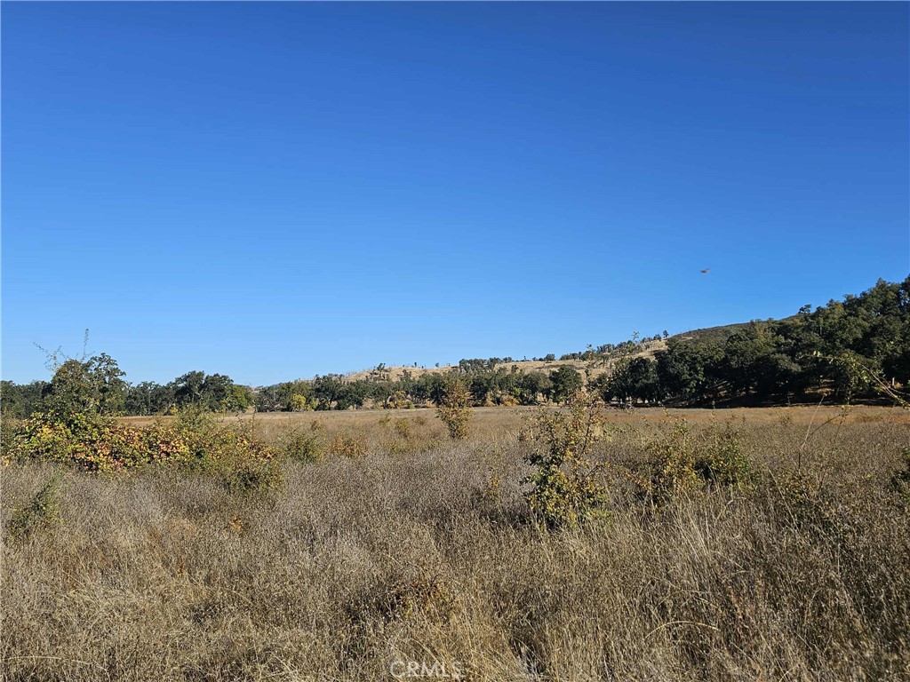 17680 Morgan Valley Road Lower Lake, CA 95457 - Photo 24 of 29 a view of mountain and grassy field