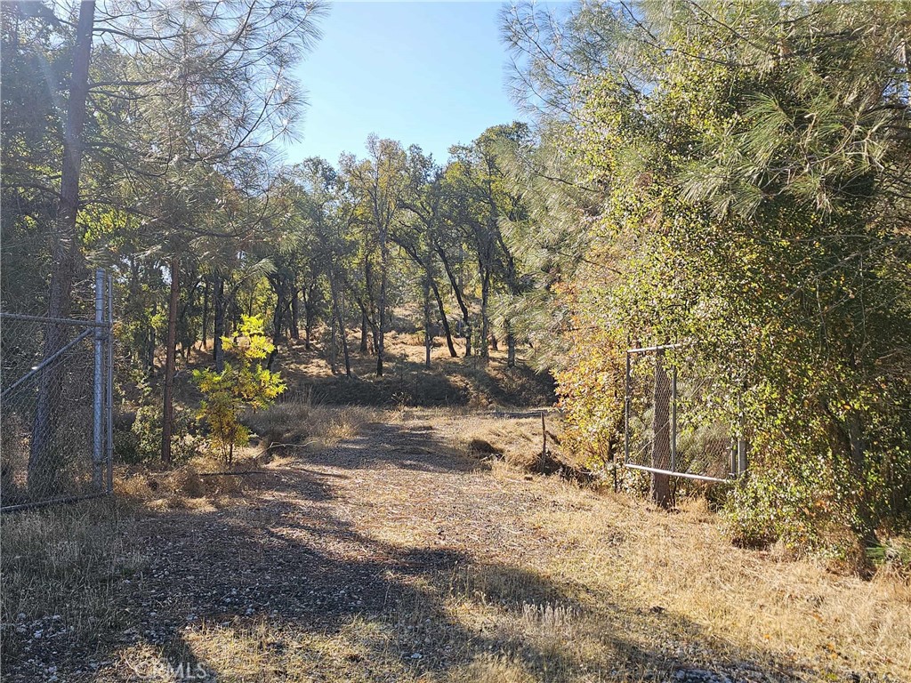 17680 Morgan Valley Road Lower Lake, CA 95457 - Photo 29 of 29 a view of a yard with plants and trees