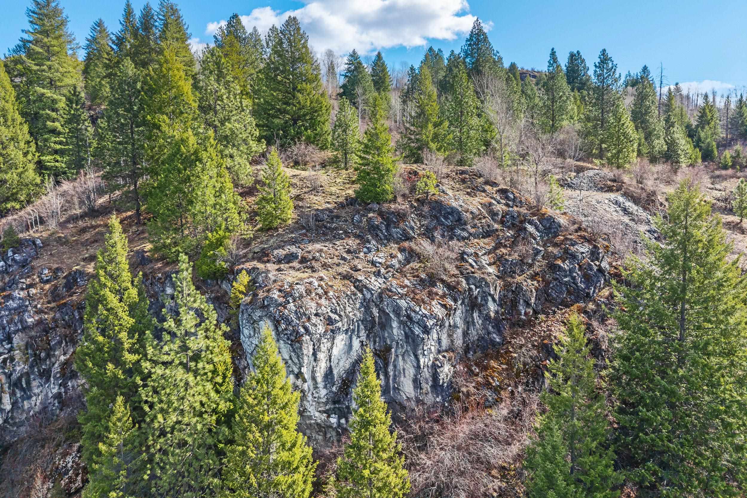 Xx Northport-Waneta Road Colville, WA 99114 - Photo 25 of 28