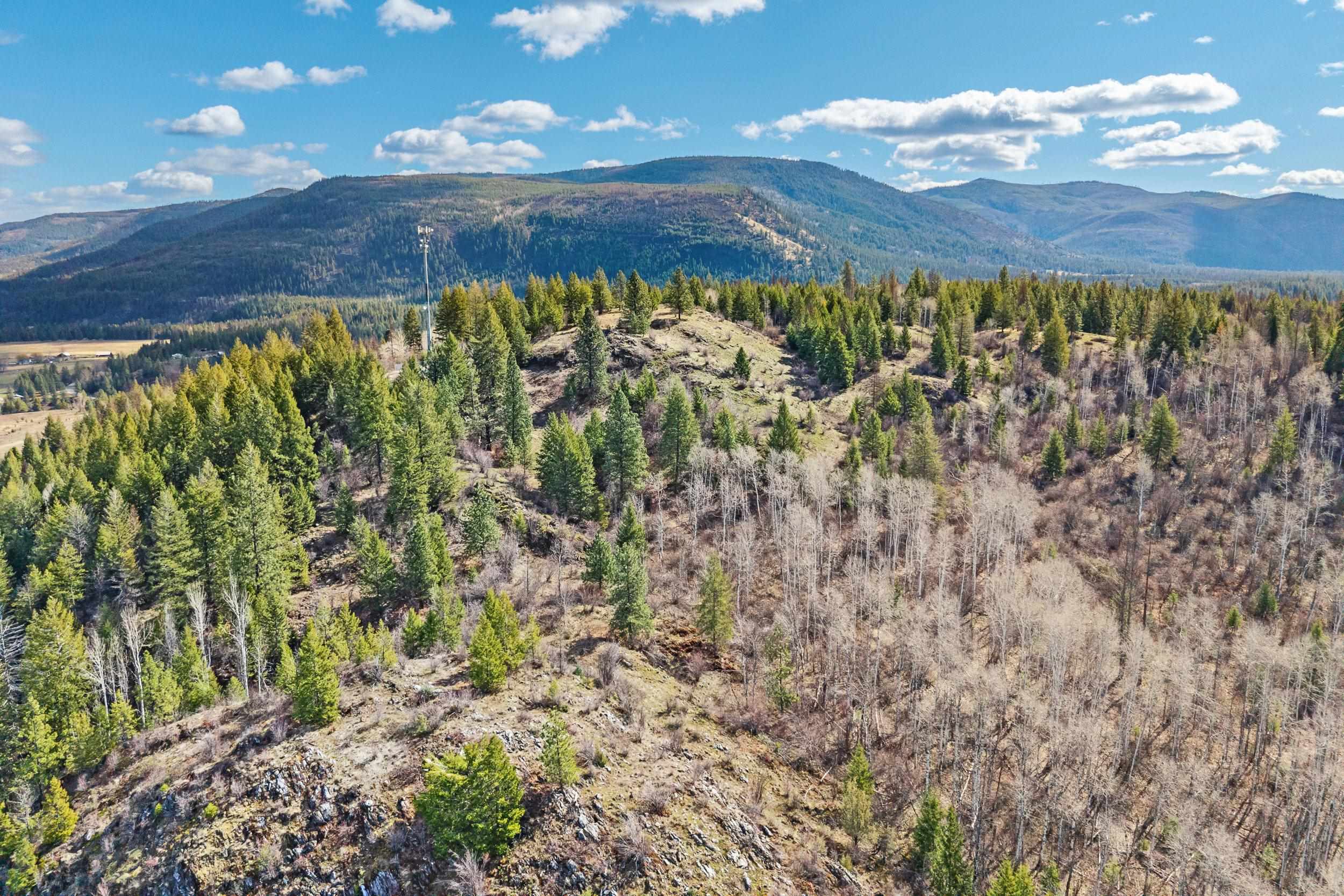 Xx Northport-Waneta Road Colville, WA 99114 - Photo 6 of 28