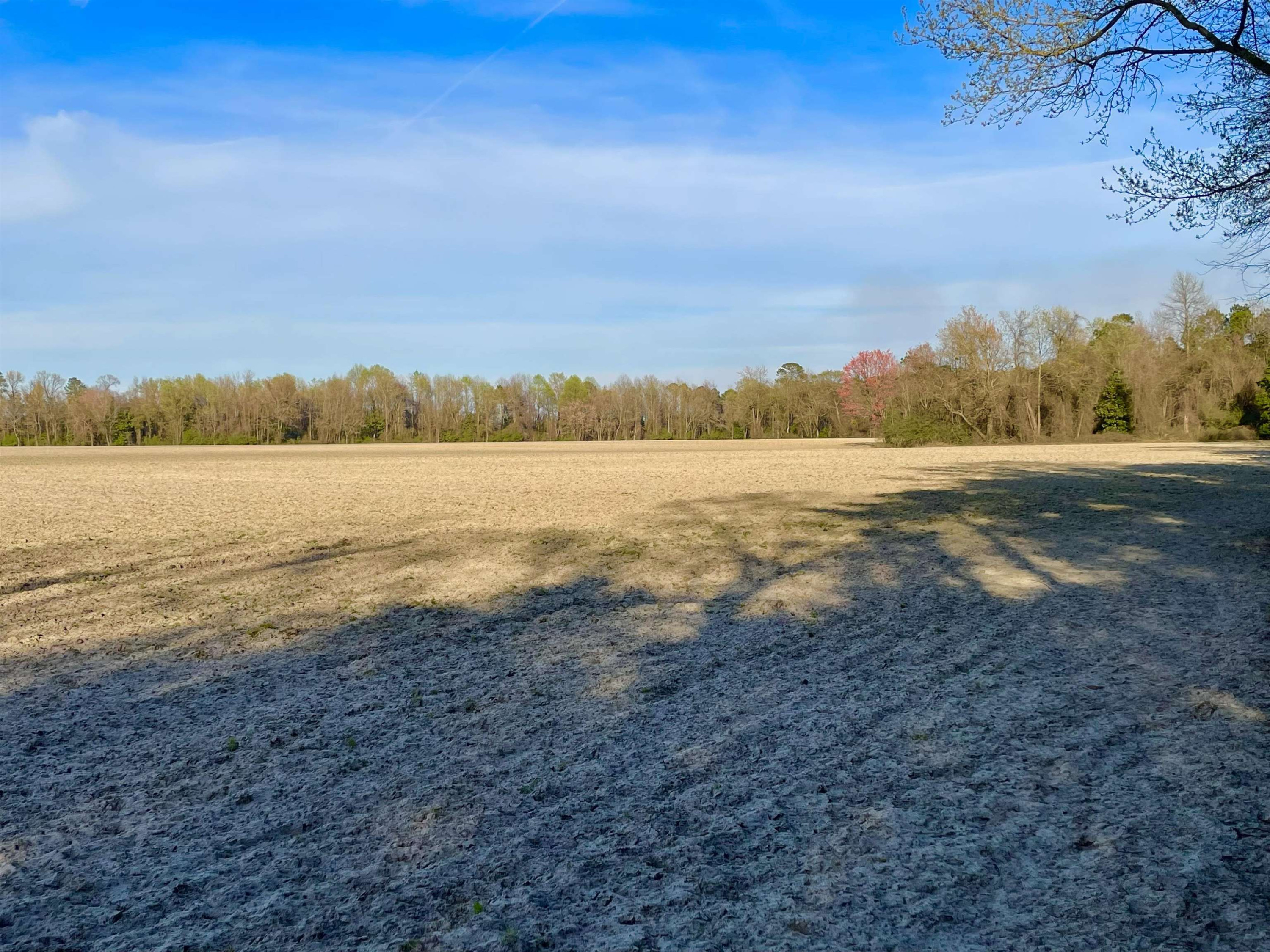 1795 Bowdens Road Warsaw, NC 28398 - Photo 21 of 26 Photo 22