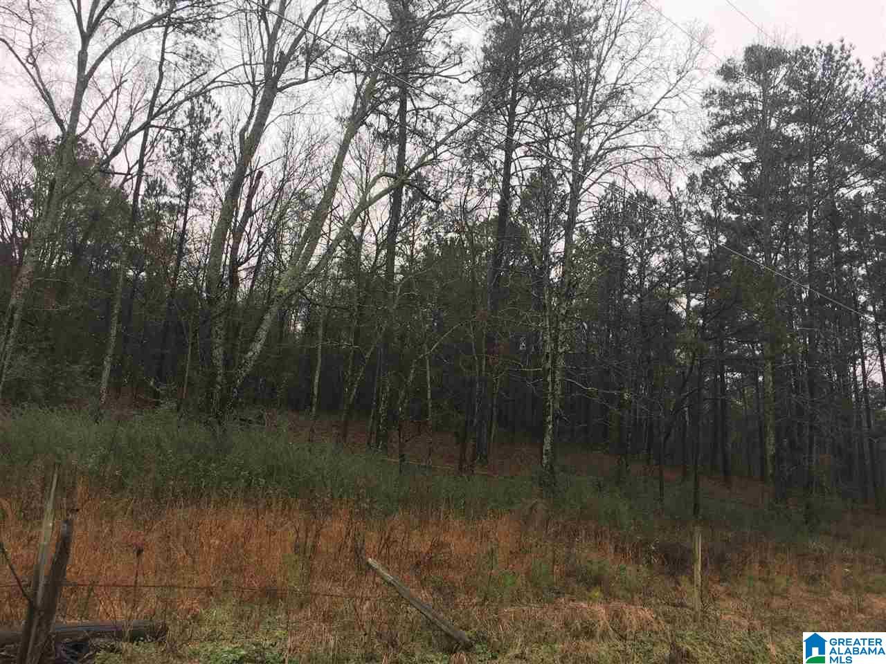 1245 Eureka Road, Unit 2 Lincoln, AL 35096 - Photo 7 of 32