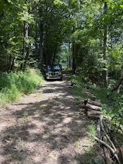 a view of backyard with outdoor seating and green space
