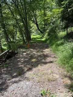 a view of outdoor space with trees