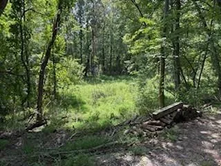 a view of outdoor space and a yard