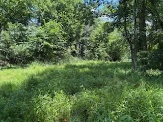 a view of a lake with a yard