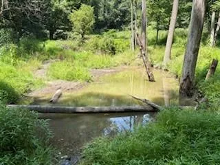 a view of backyard with green space