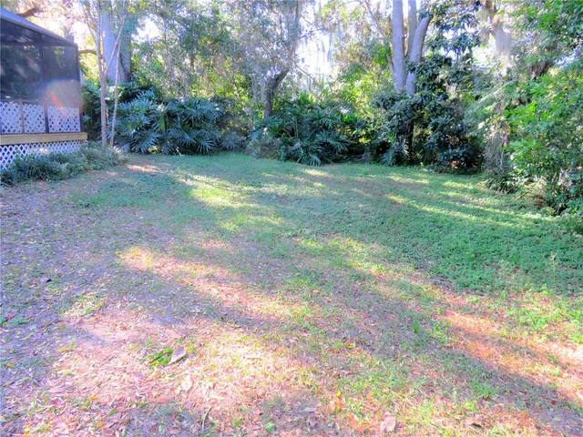 a view of a trees with a yard